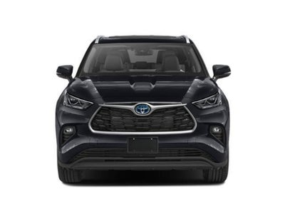 2023 Toyota Highlander Hybrid Hybrid XLE Bronze