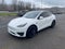 2021 Tesla Model Y Performance Dual Motor All-Wheel Drive