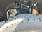 2026 Ford F-450SD DRW